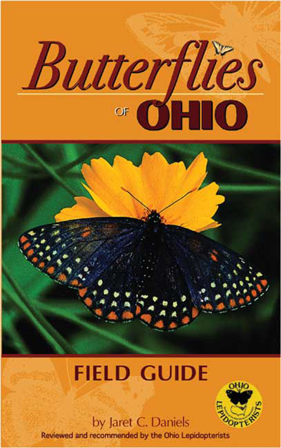 Butterflies Ohio FG